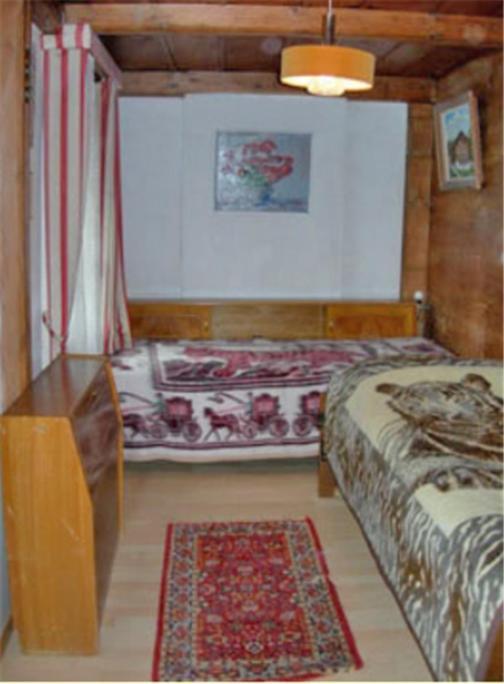 Apartments Dr. Med. Vet. Tempelman Interlaken Chambre photo