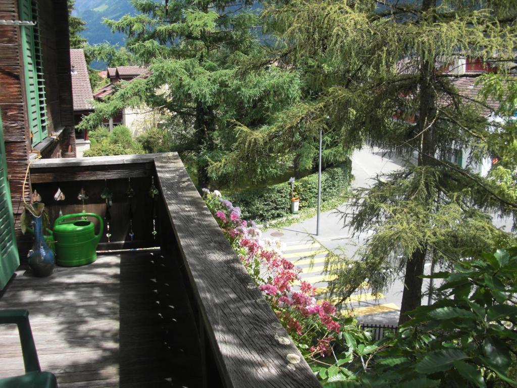 Apartments Dr. Med. Vet. Tempelman Interlaken Chambre photo